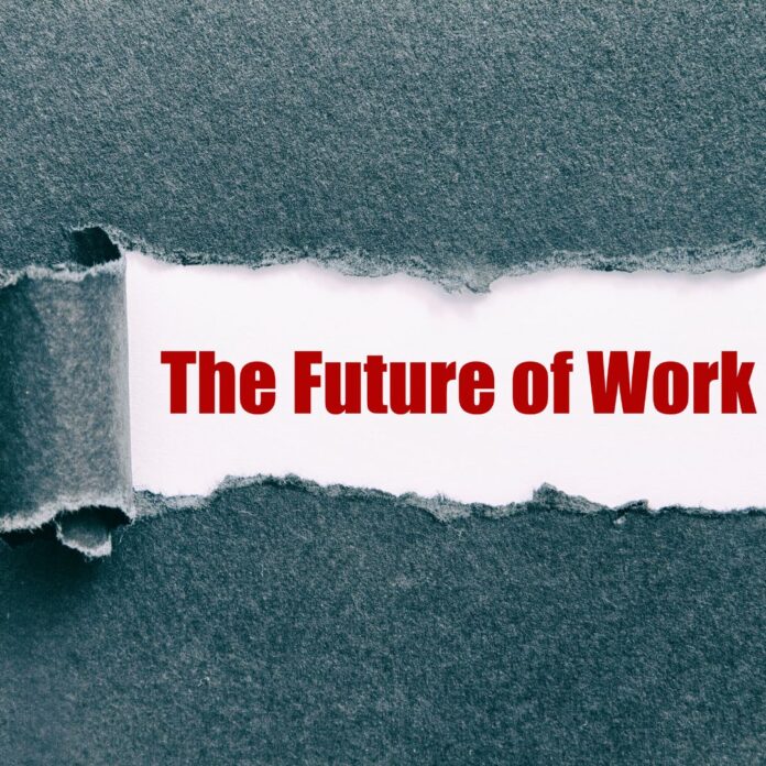 Valori Srl - Blog - Quali sono i lavori più ricercati e le lauree più richieste nel futuro?